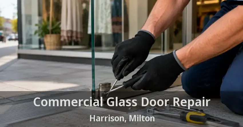 Commercial Glass Door Repair Harrison, Milton - ON
