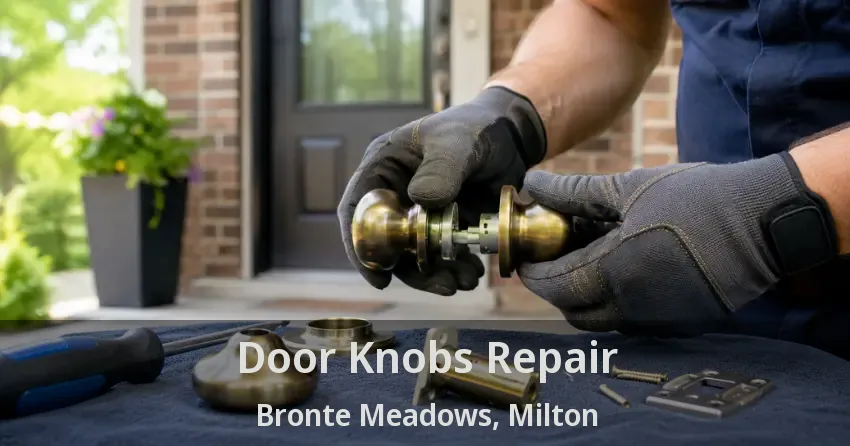 Door Knobs Repair Bronte Meadows, Milton - ON