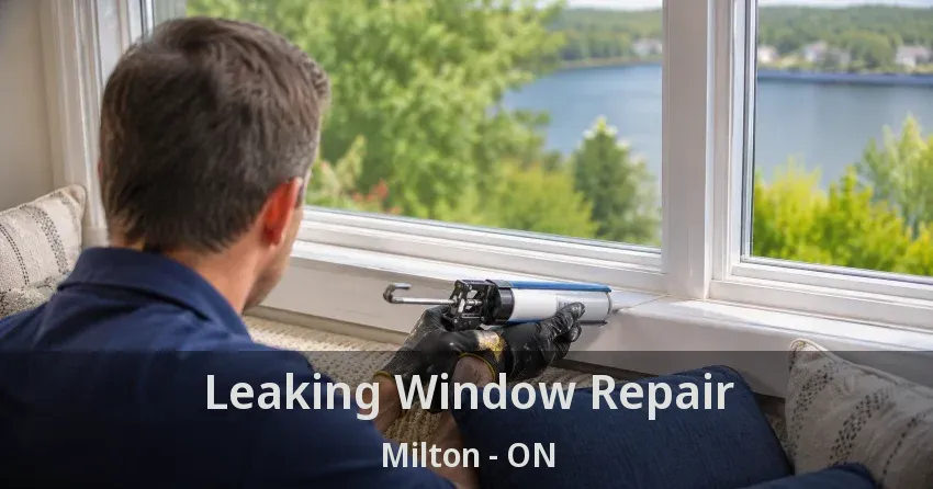 Leaking Window Repair Milton - ON