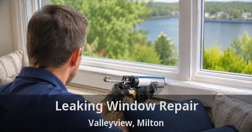 Leaking Window Repair Valleyview, Milton - ON