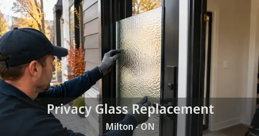 Privacy Glass Replacement Milton - ON