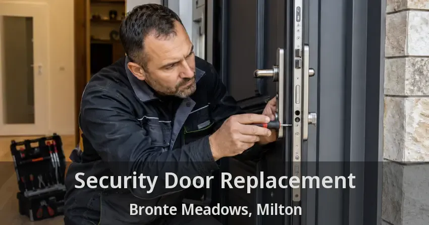 Security Door Replacement Bronte Meadows, Milton - ON