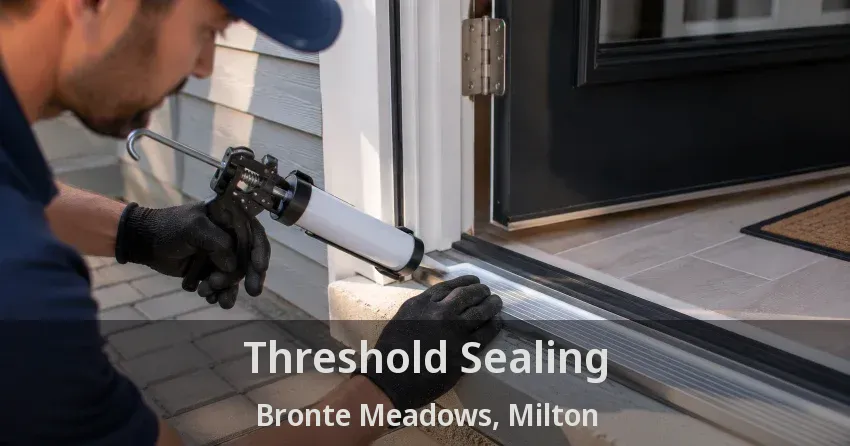 Threshold Sealing Bronte Meadows, Milton - ON