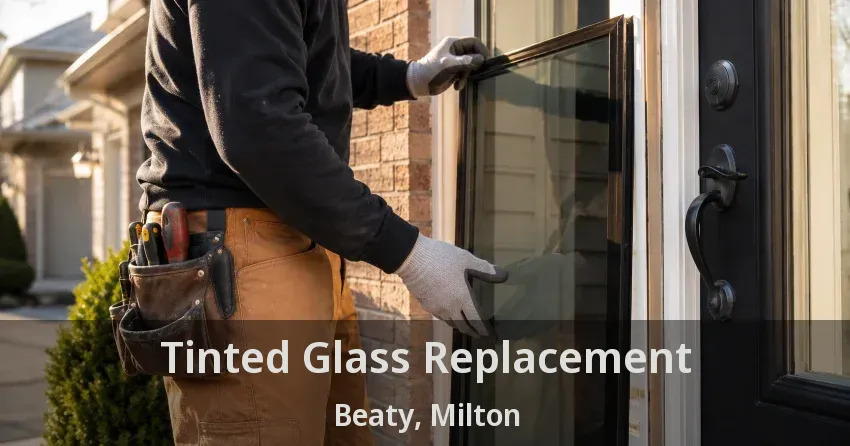 Tinted Glass Replacement Beaty, Milton - ON
