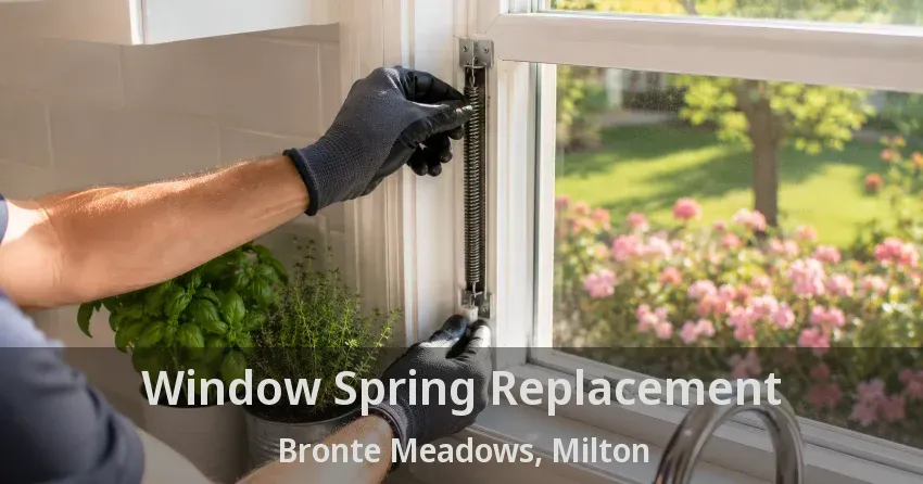 Window Spring Replacement Bronte Meadows, Milton - ON